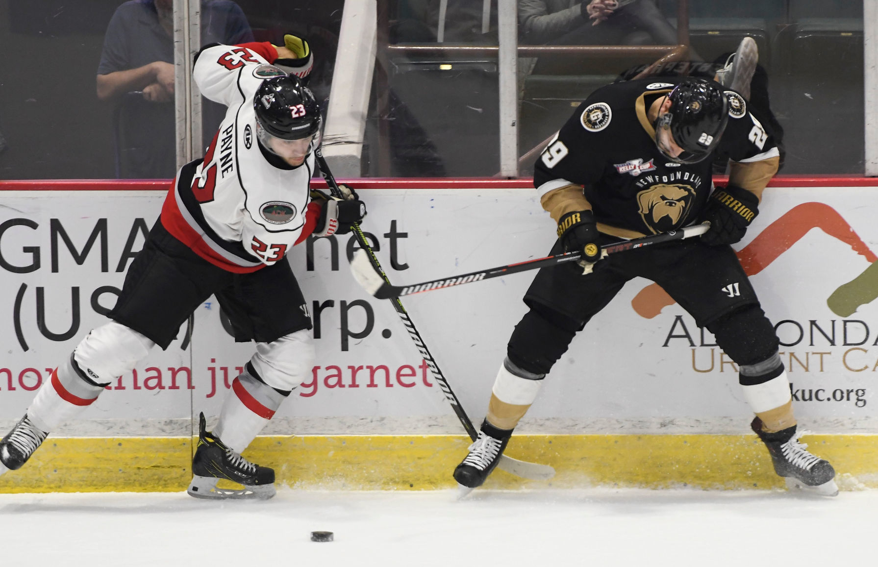 Thunder vs. Newfoundland